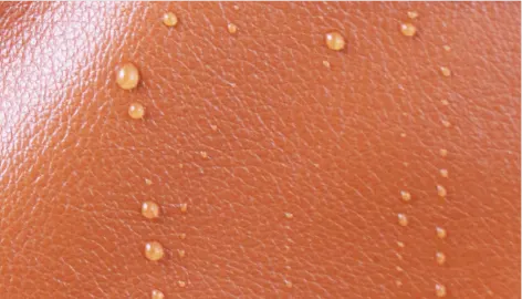 撥水加工バッグ画像